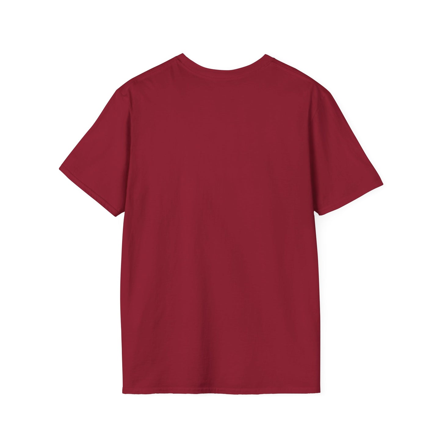 USA Canoe / Kayak Unisex Softstyle T-Shirt - White Logo